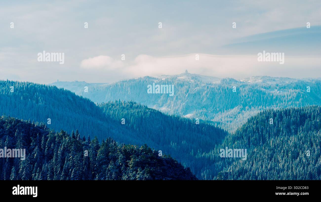 Schneebedeckte Berglandschaft im sanften Winterlicht mit Schichten von Kiefernwäldern, die in Nebel und blaue Atmosphäre verschwinden. Stockfoto