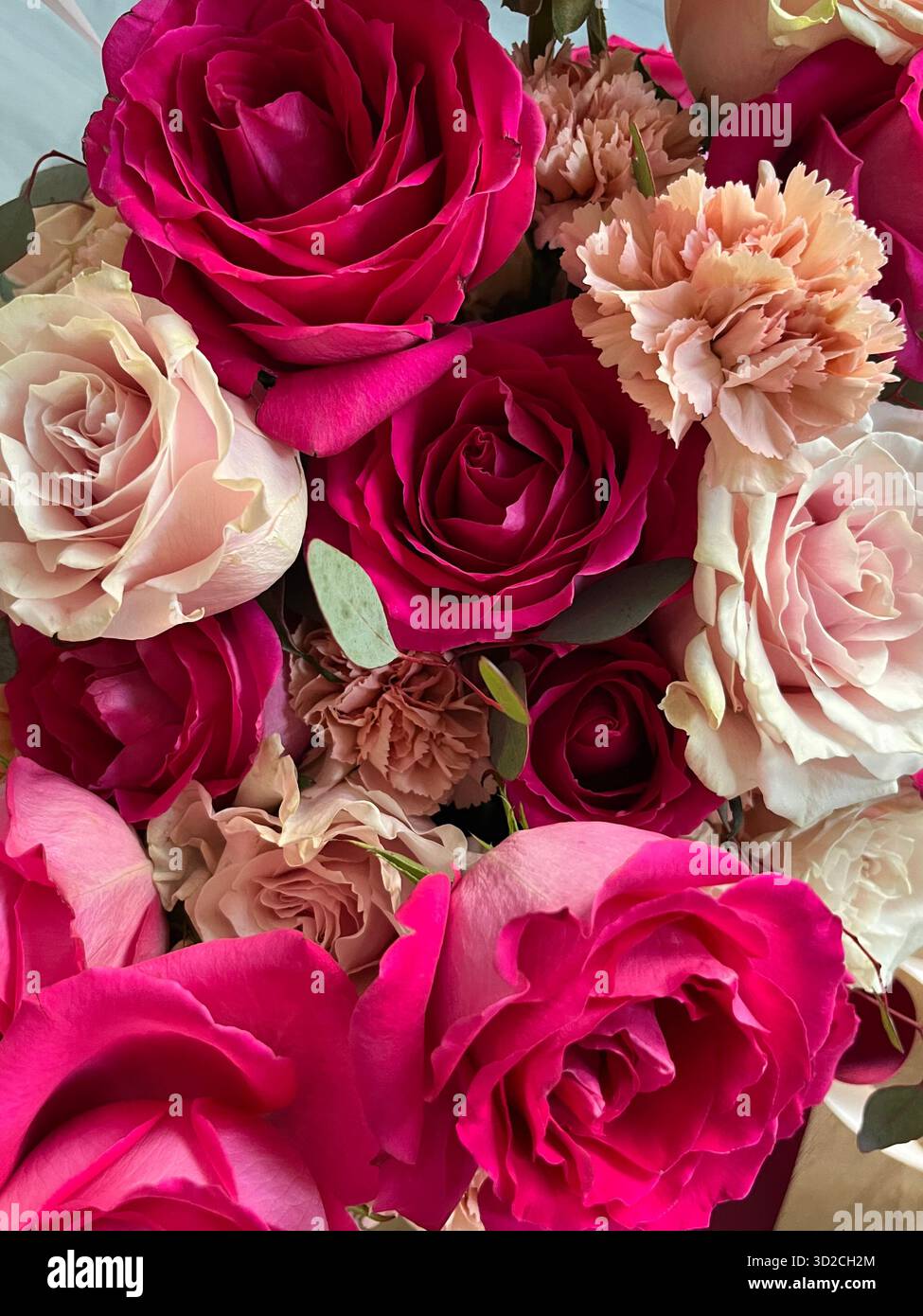 Ein Blumenstrauß aus Rosen und Hortensien in Rosa- und Violetttönen - Smartphone-aufgenommenes Stockfoto