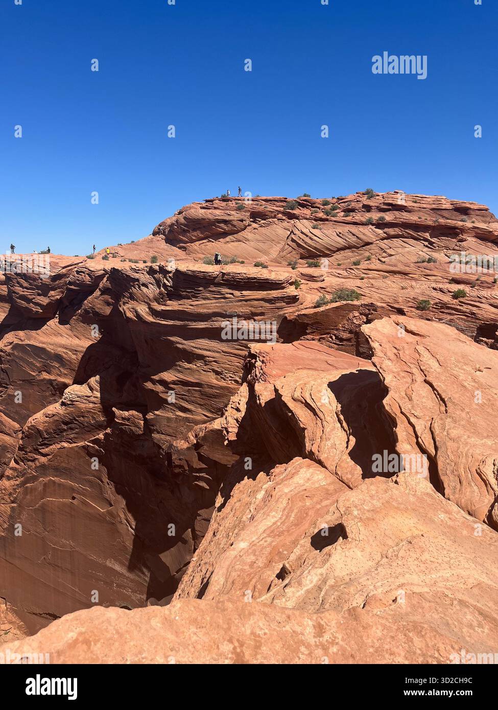 Grand Canyon: Wüstenlandschaft, blühende Pflanzen, Sandsteinklippen und ein Fluss - Smartphone-aufgenommenes Stockfoto