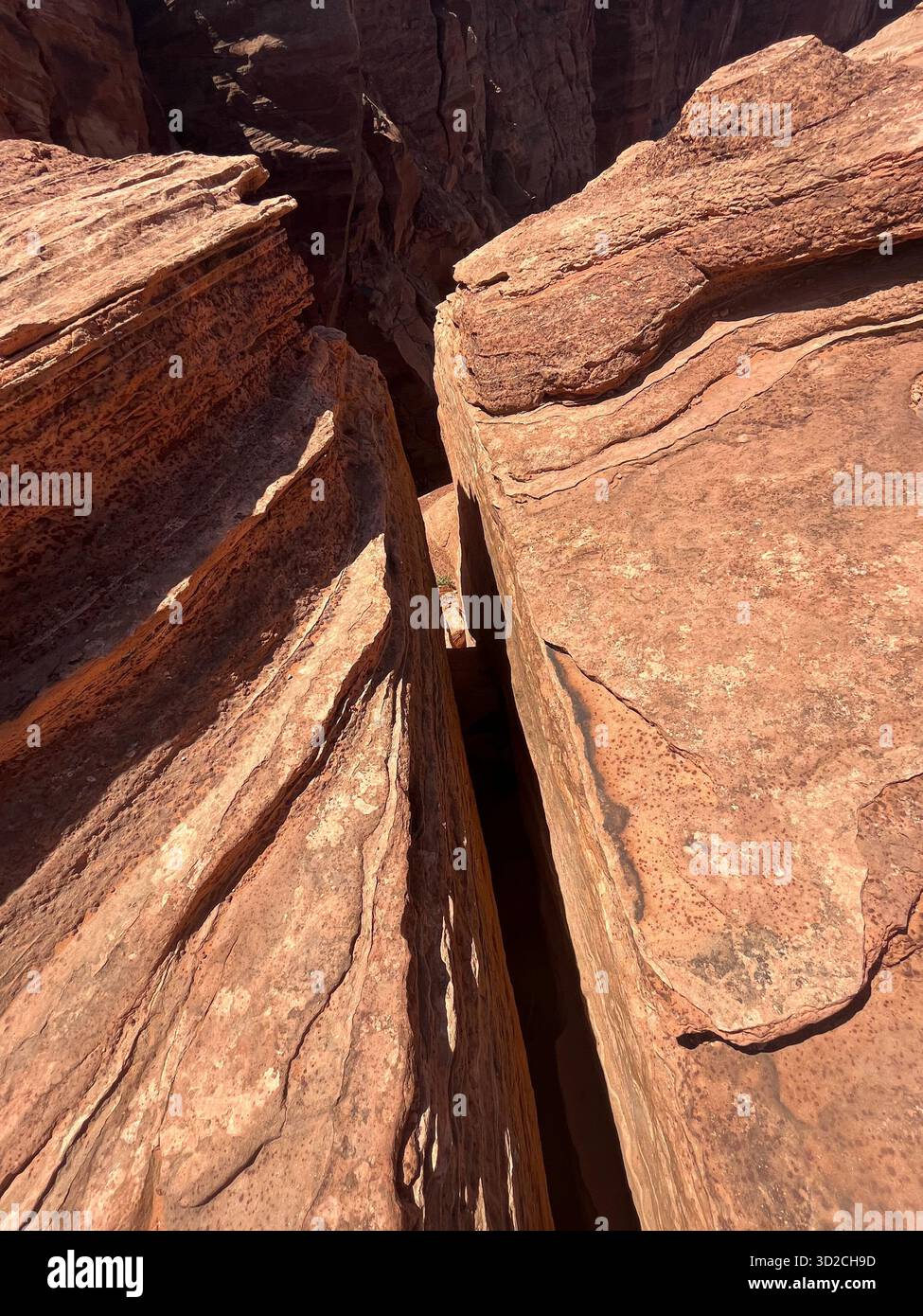 Grand Canyon: Wüstenlandschaft, blühende Pflanzen, Sandsteinklippen und ein Fluss - Smartphone-aufgenommenes Stockfoto