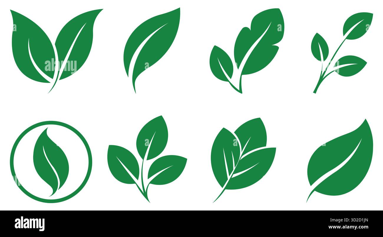 Blatt, Grünes Blatt, Öko Blatt, Naturpflanze Vektor-Symbol Set Stock Vektor