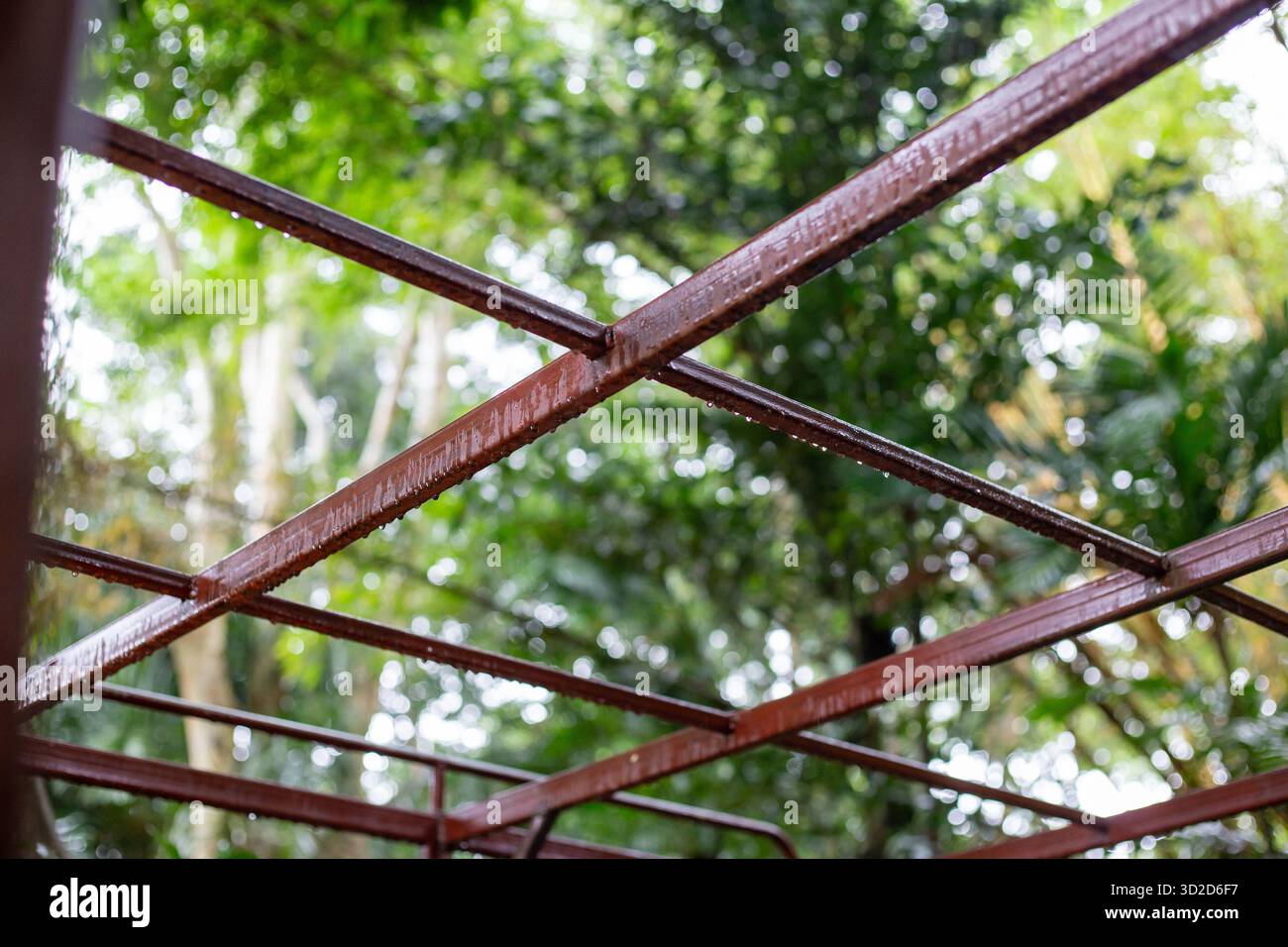 Selektive Fokusstahlkonstruktion mit rostfreiem Karmesinrot lackiert. Regengetränkte Stahlstruktur grüner natürlicher Hintergrund Stockfoto