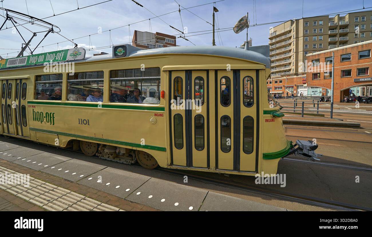 Hop-on-Hop-off-Touristenbahn im Zentrum von den Haag, Niederlande Stockfoto