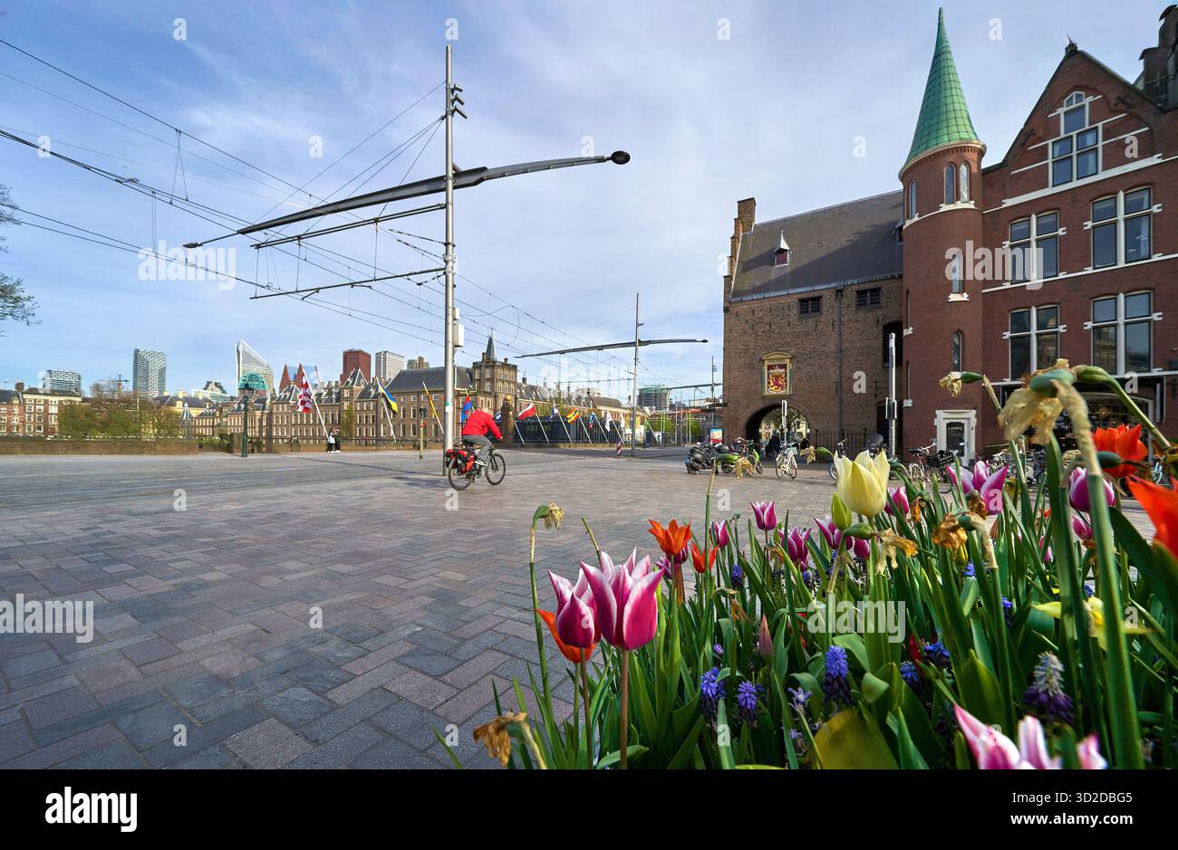 Blick auf die Straße im Zentrum von Haag, Niederlande Stockfoto