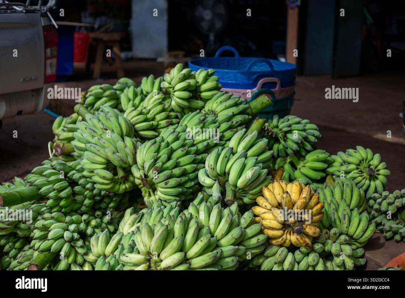 Selektiver Fokus. Viele Bananen stapelten sich auf dem Bananenmarkt. Es gibt reife gelbe Bananen Stockfoto