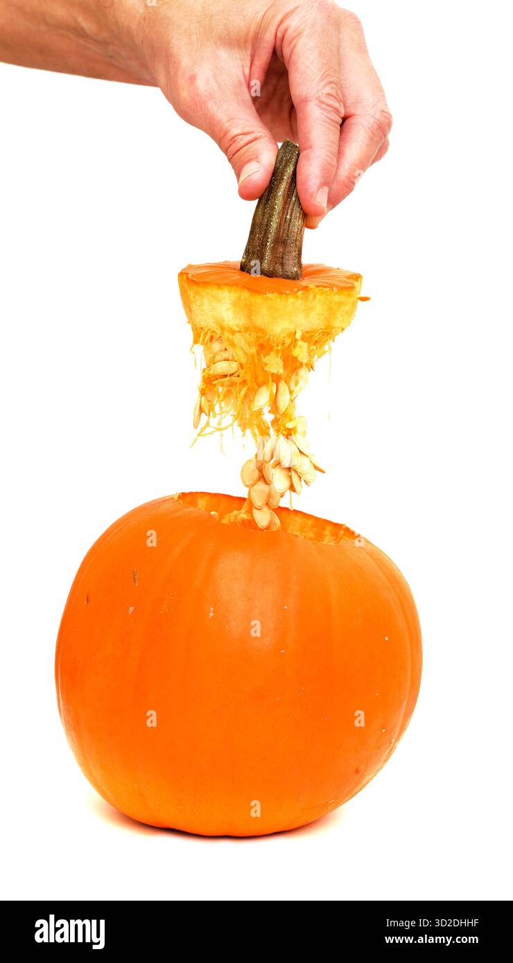 Die Spitze von einem Hallowen-orangefarbenen Kürbis, isoliert auf weißem Hintergrund Stockfoto