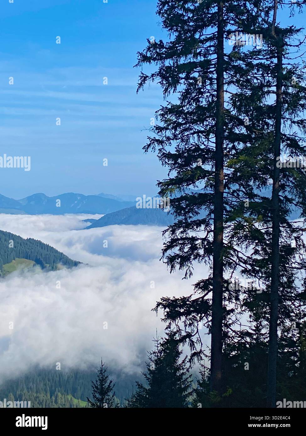 Bergbäume, die ein nebelgefülltes Tal umrahmen, Leogang, Österreich - Smartphone-aufgenommenes Stockfoto