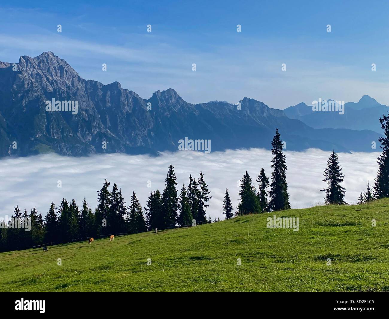 Atemberaubende Berglandschaft mit Wolkenmeer in Leogang, Österreich - Smartphone-aufgenommenes Stockfoto