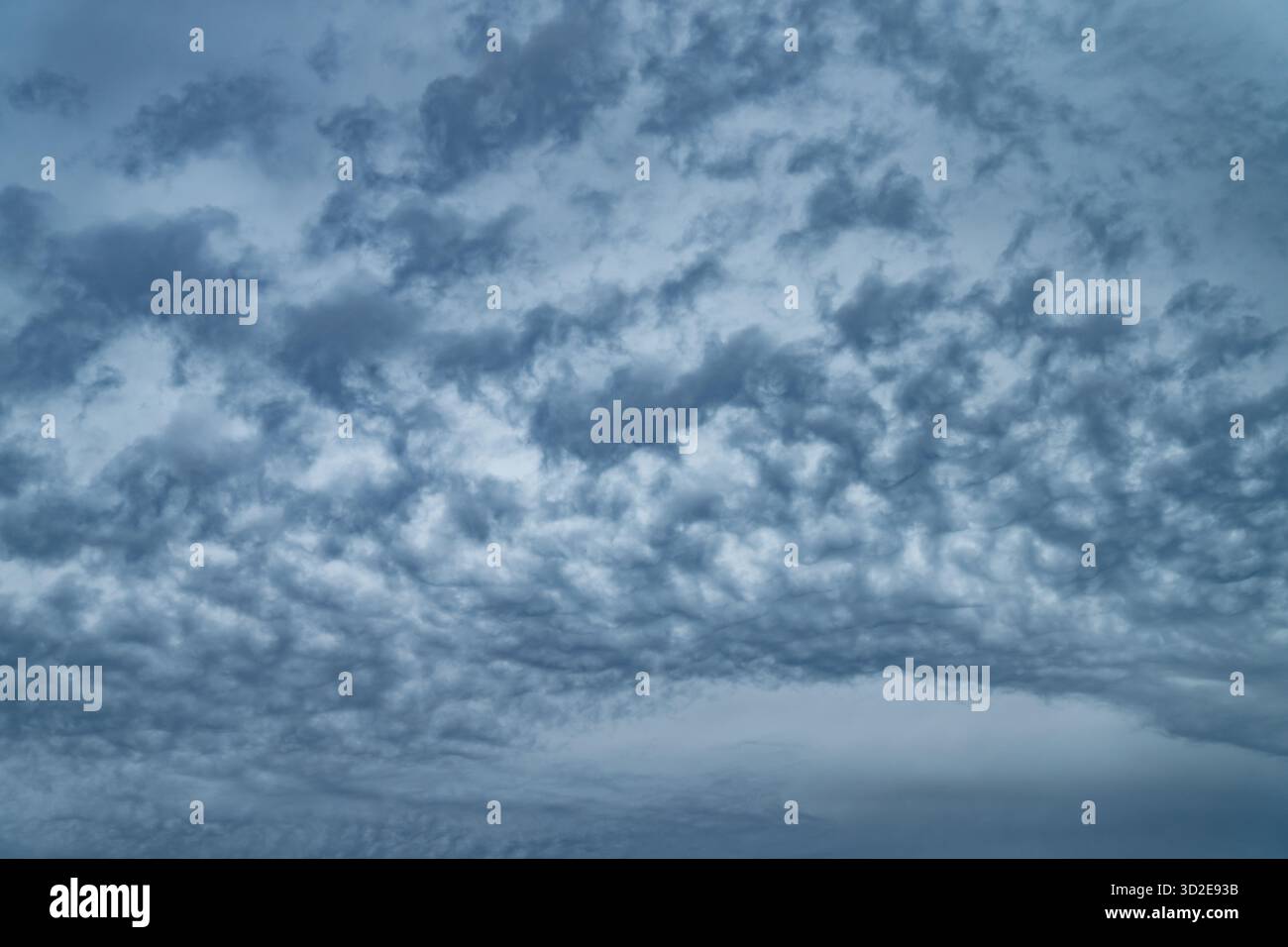 Strukturierter, bewölkter Himmel mit mehrschichtigem Altocumulus-Muster und dramatischen Grautönen, die die sich nähernde Sturmfront und die natürliche Atmosphäre darstellen Stockfoto