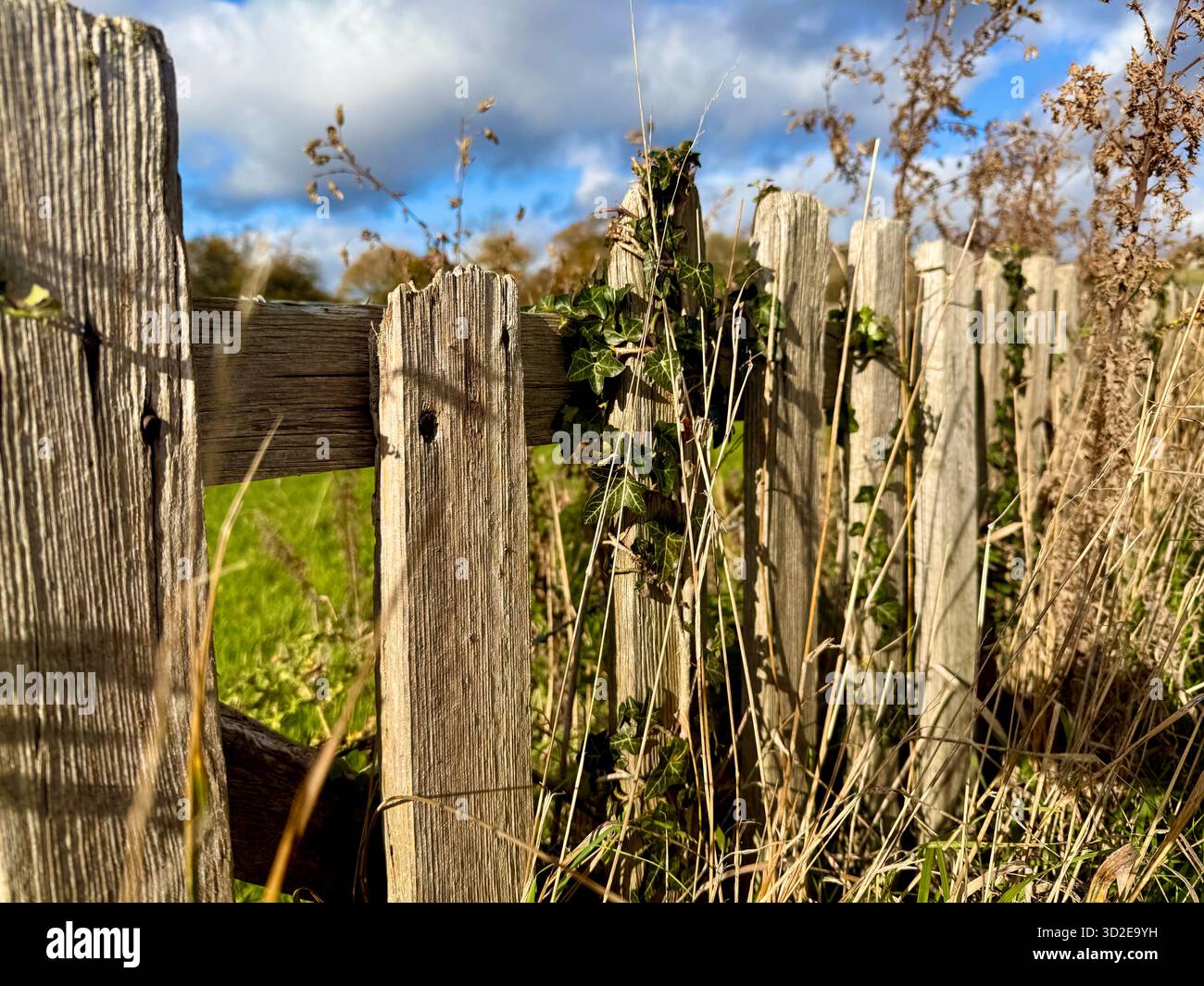 Ein alter Holzzaun auf Ackerland in England, Großbritannien Stockfoto
