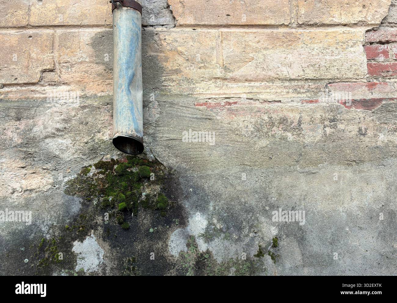 Altes Abflussrohr aus Metall an einer verwitterten Betonwand mit Moos, das darunter wächst und rustikale Textur und veraltete Gebäudedetails zeigt. - Smartphone-aufgenommenes Stockfoto