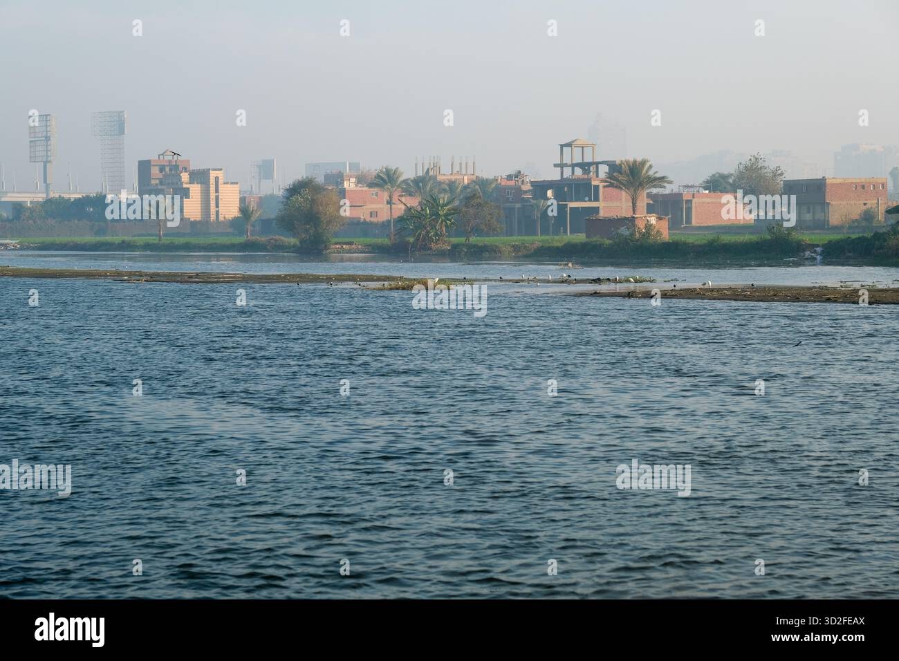 Insel- und Wasservögel am Nil Kairo, Ägypten Stockfoto