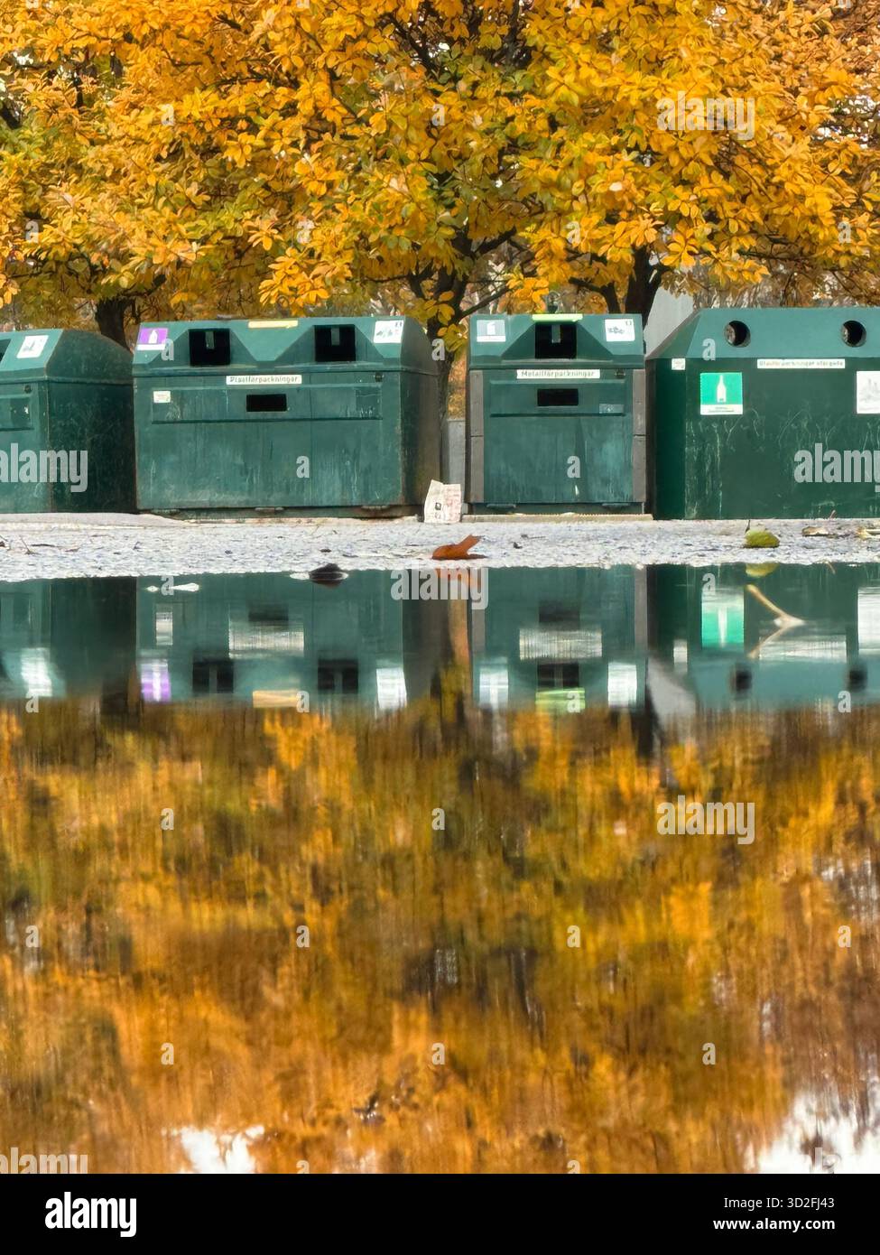 Recyclingbehälter spiegeln sich in einer Pfütze unter goldenen Herbstbäumen und schaffen eine abstrakte Stadtlandschaft mit warmen, saisonalen Tönen. - Smartphone-aufgenommenes Stockfoto