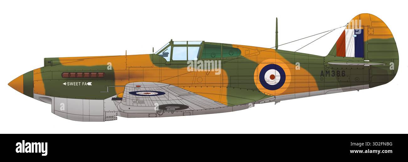 Curtiss p 40c tomahawk -Fotos und -Bildmaterial in hoher Auflösung – Alamy