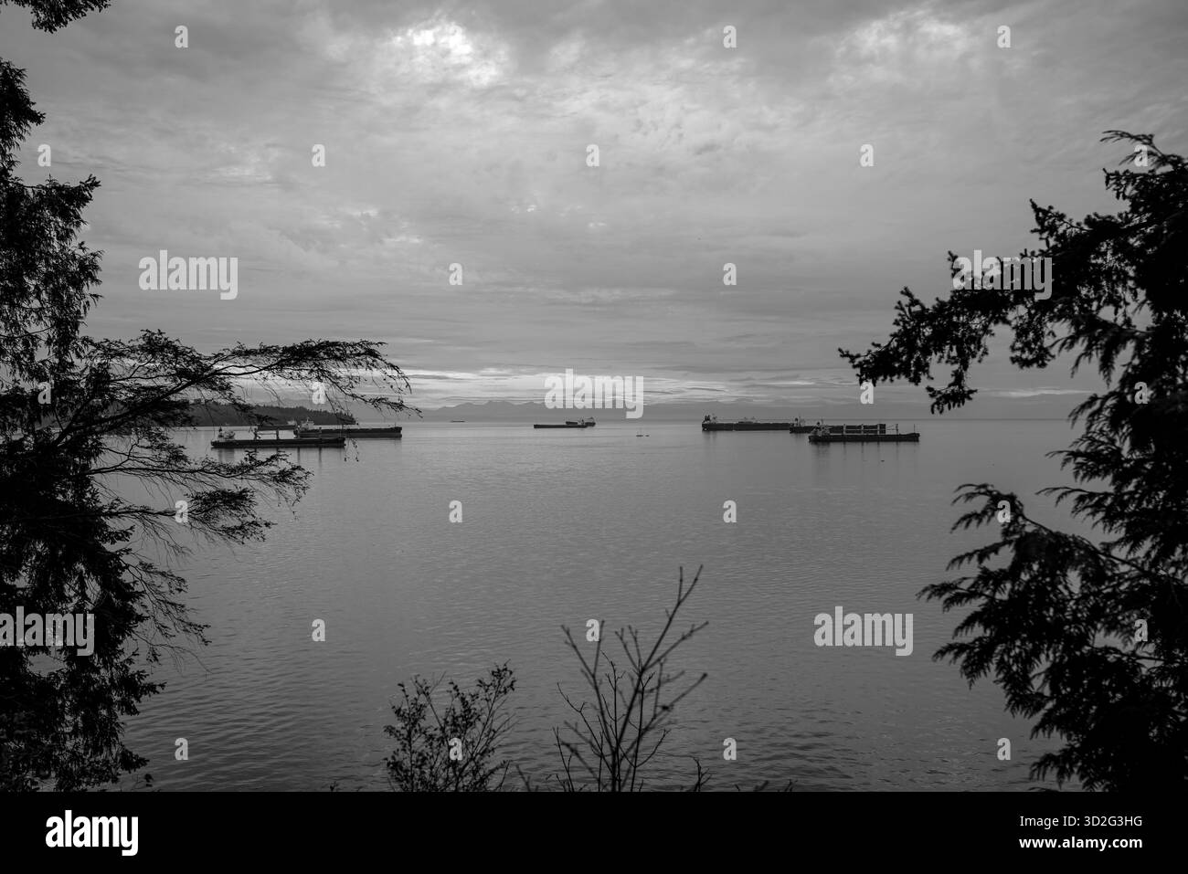 Schwarz-weiß-Ansicht von Frachtschiffen, die auf ruhigem Küstenwasser ankern, umrahmt von Silhouettenbäumen und fernen Bergen unter einem strukturierten, bedeckten Himmel Stockfoto
