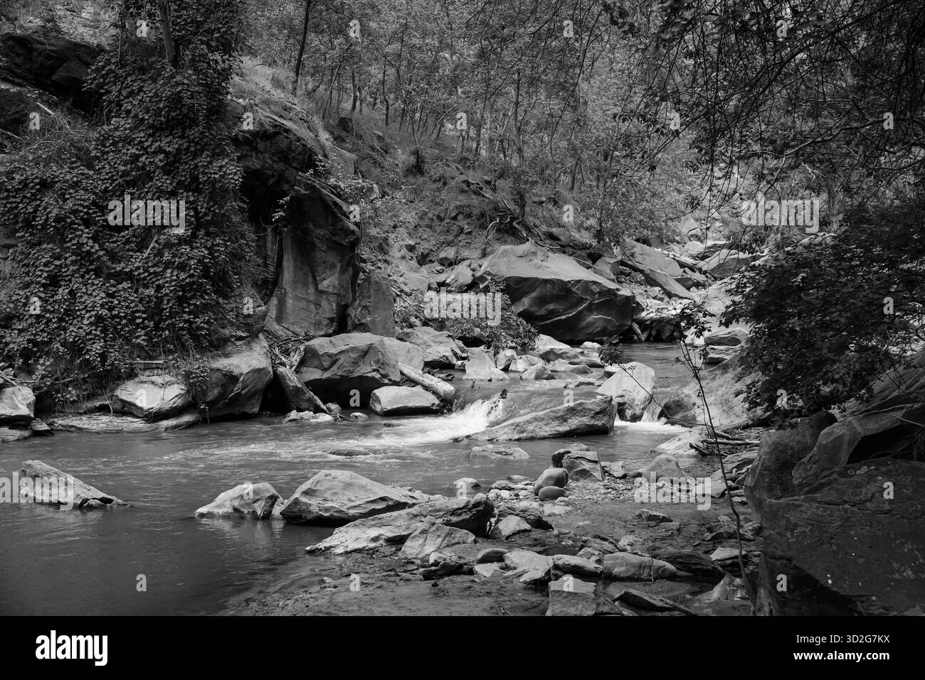 Ein Schwarzweiß-Blick auf einen felsigen Flussabschnitt mit fließendem Wasser, Felsbrocken und dichter Canyon-Vegetation, die eine dramatische natürliche Szene schaffen Stockfoto