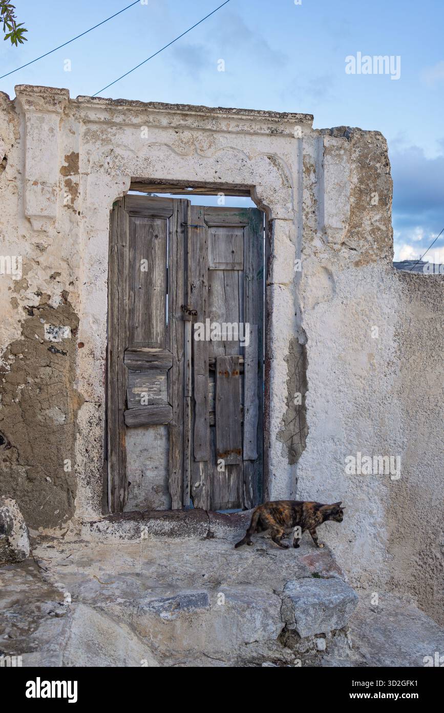Alte verwitterte Tür mit einer Calico Katze in Pyrgos Kallistis Stockfoto