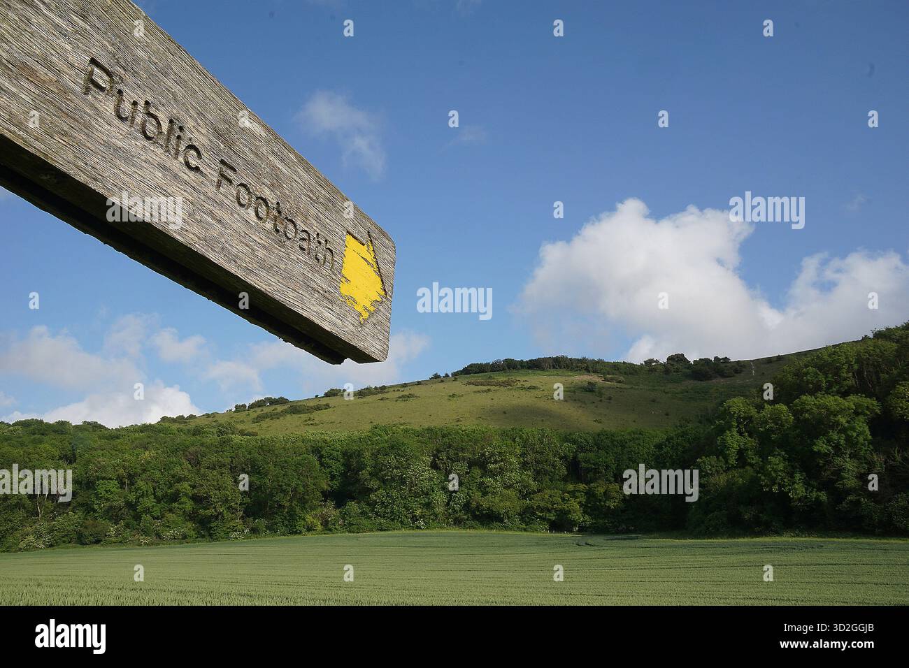Fußwegsschild und South Downs, Großbritannien Stockfoto