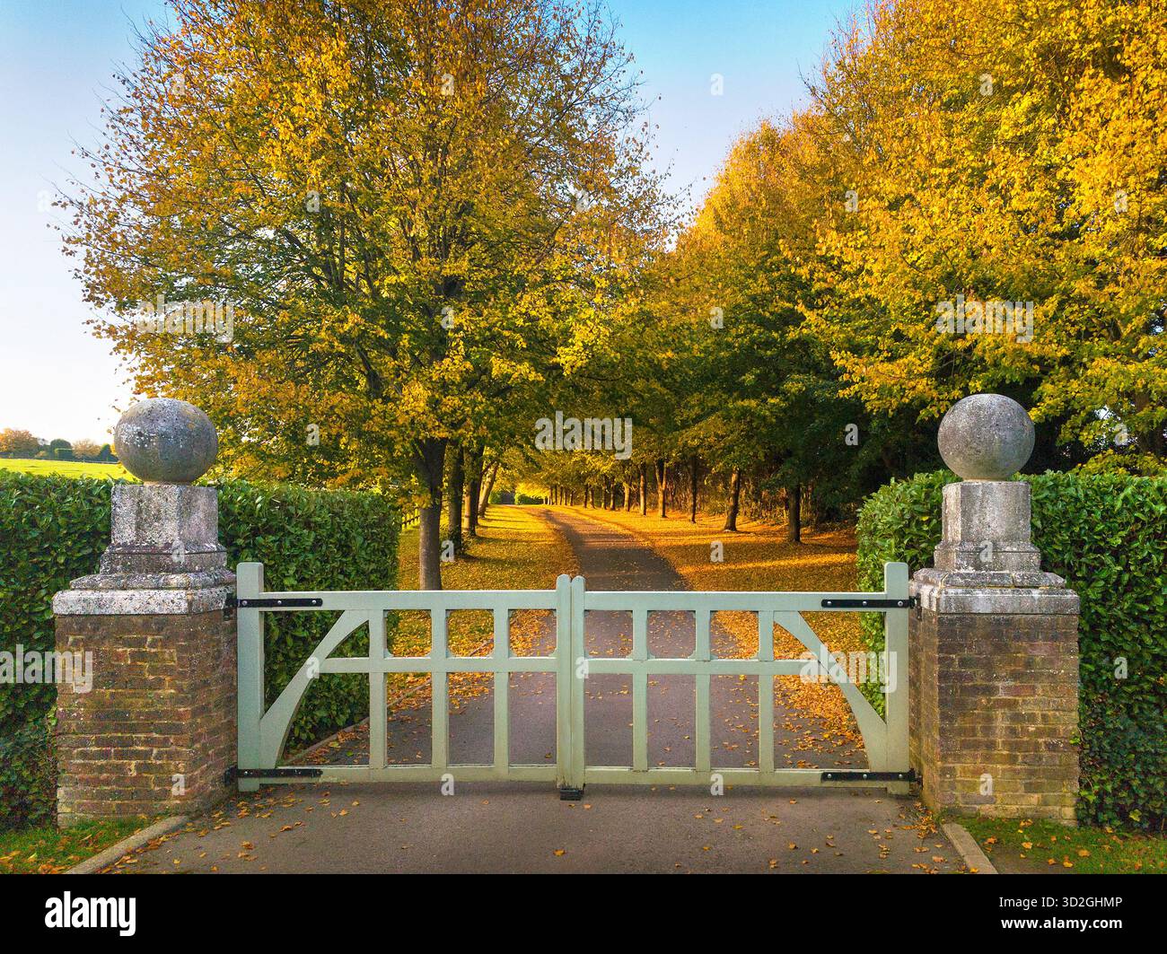 Herbstszene, goldenes warmes Sonnenlicht auf Wegen und Bäumen Stockfoto