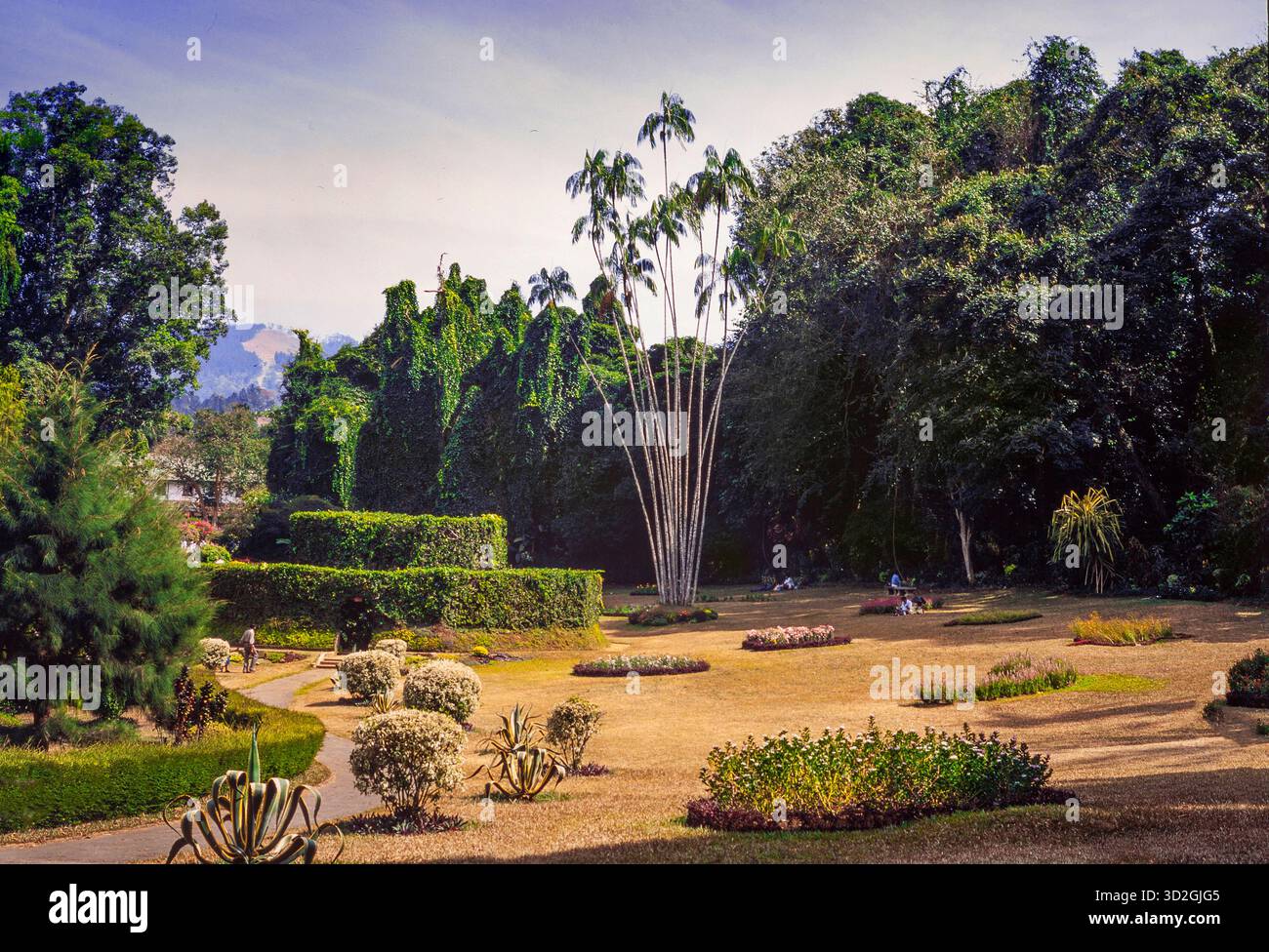Royal Botanical Gardens of Peradeniya, Sri Lanka Stockfoto