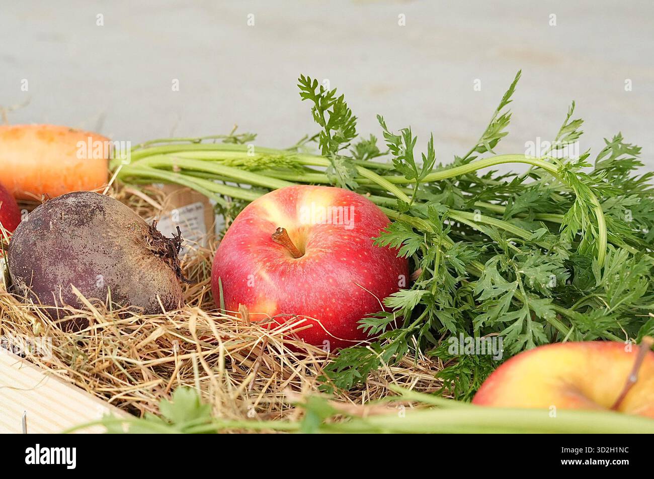 Frische Bio-Äpfel, Karotten und Rüben in einer Holzkiste Stockfoto