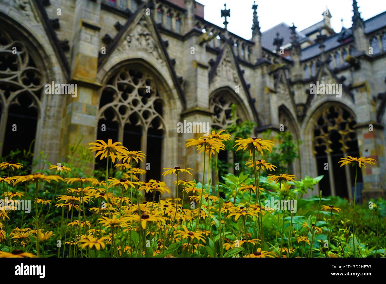 Pandhof van de Domkerk Stockfoto