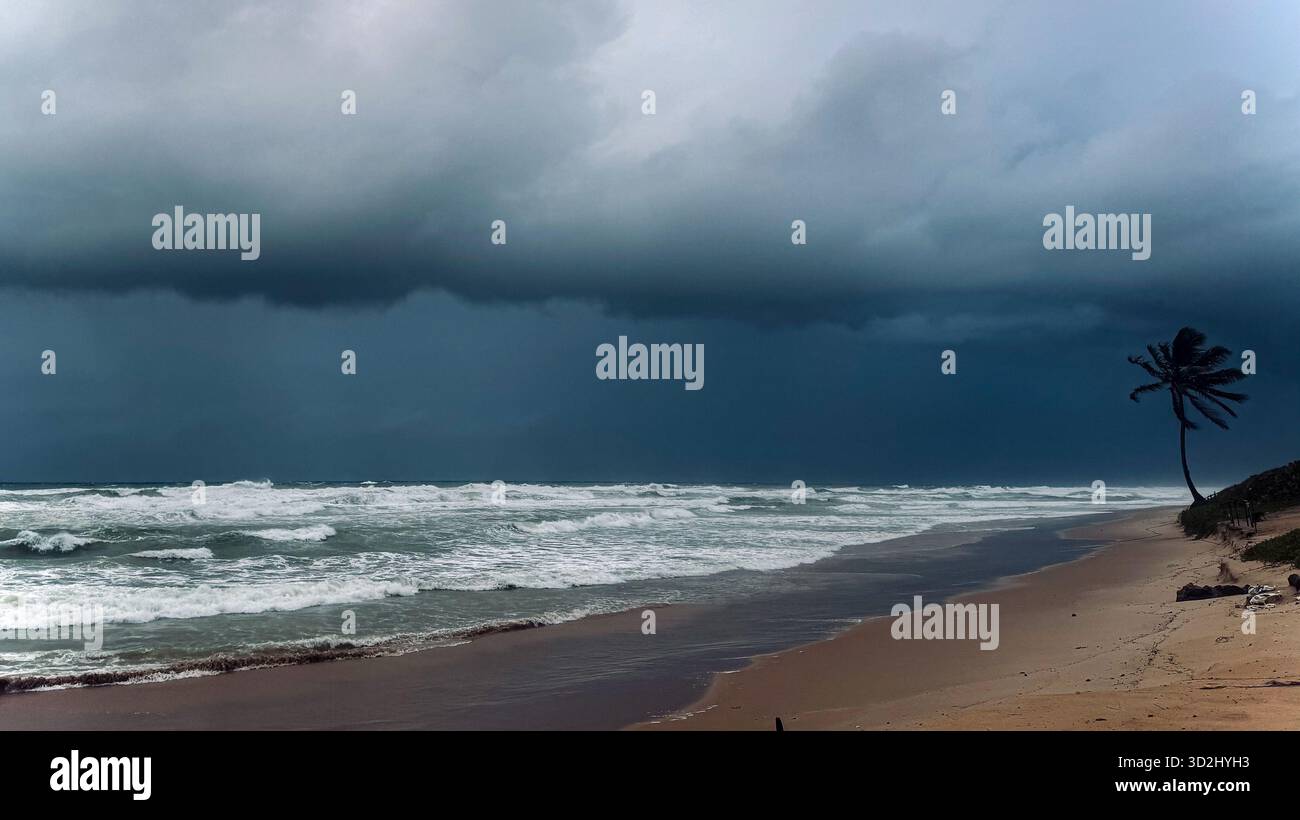 Dunkle Sturmwolken über einem windigen tropischen Strand mit rauen Wellen und einer einsamen Palme, die sich im Wind beugt, Salvador, Bahia, Brasilien. - Smartphone-aufgenommenes Stockfoto