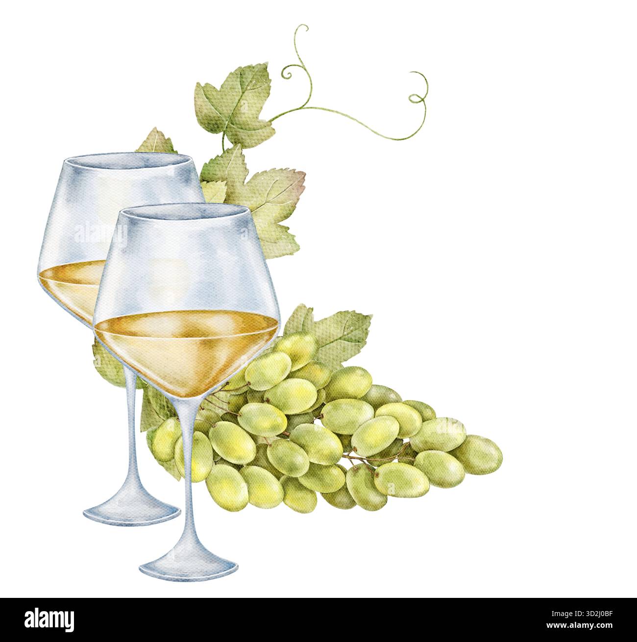 Aquarellillustration mit zwei Weißweingläsern und grüner Traubengruppe. Elegante und frische Komposition, ideal für Sommermenü, Bar-Design und Weinberg Stockfoto
