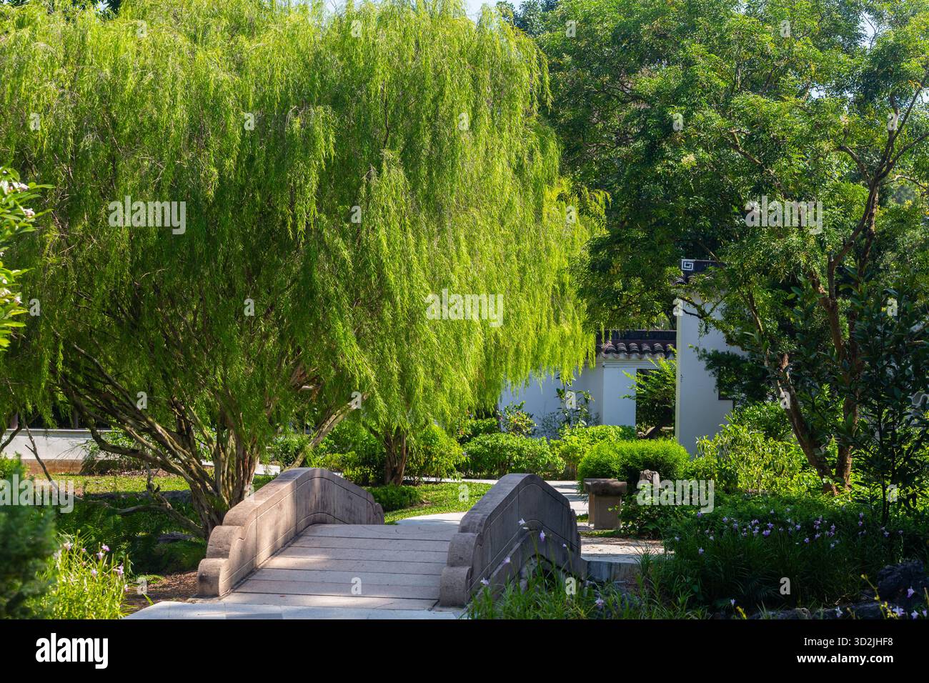 Landschaftsgestaltung im Suzhou-Stil mit wunderschönen Bäumen und Innenhofgestaltung im Bonsai-Garten, Chinesischer Garten, Singapur. Stockfoto