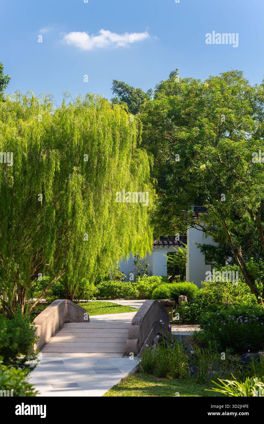 Vertikaler Blick auf die Landschaftsgestaltung im Suzhou-Stil mit wunderschönen Bäumen und Innenhofgestaltung im Bonsai-Garten, Chinesischer Garten, Singapur. Stockfoto