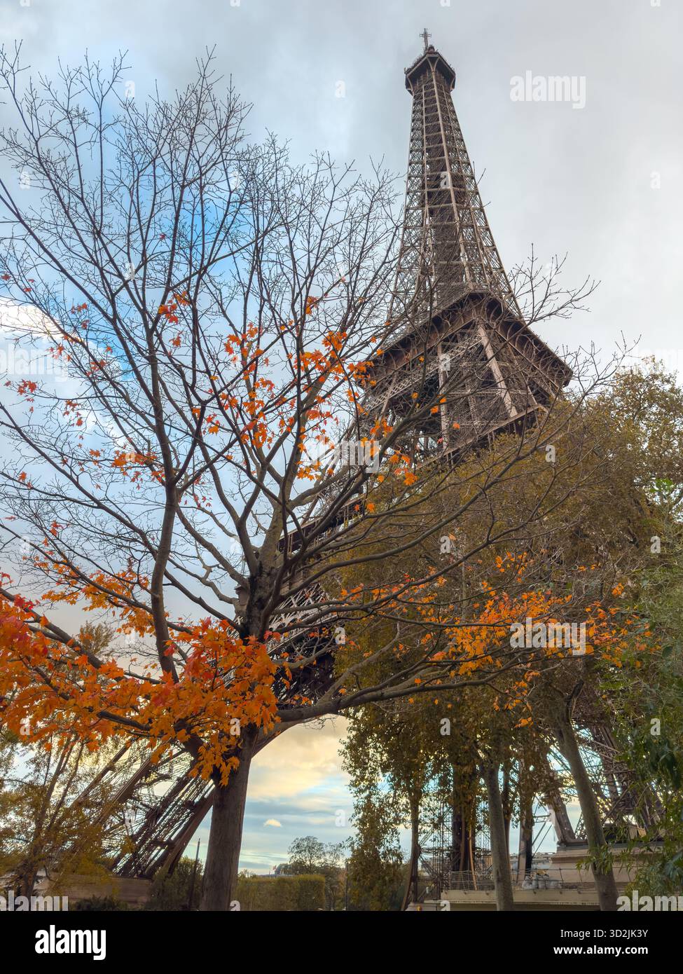 Der Eiffelturm ist durch herbstliche Äste mit dramatischen Wolken eingerahmt Stockfoto