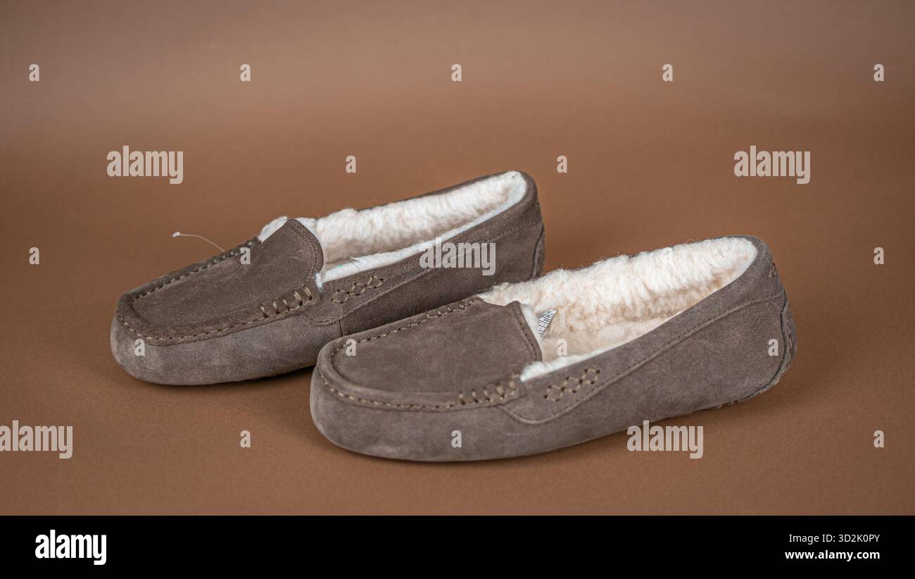 Elegante Winter-Hausschuhe mit dicker Sohle und warmer Pelzinnenseite, die Komfort und modernes Design kombinieren Stockfoto