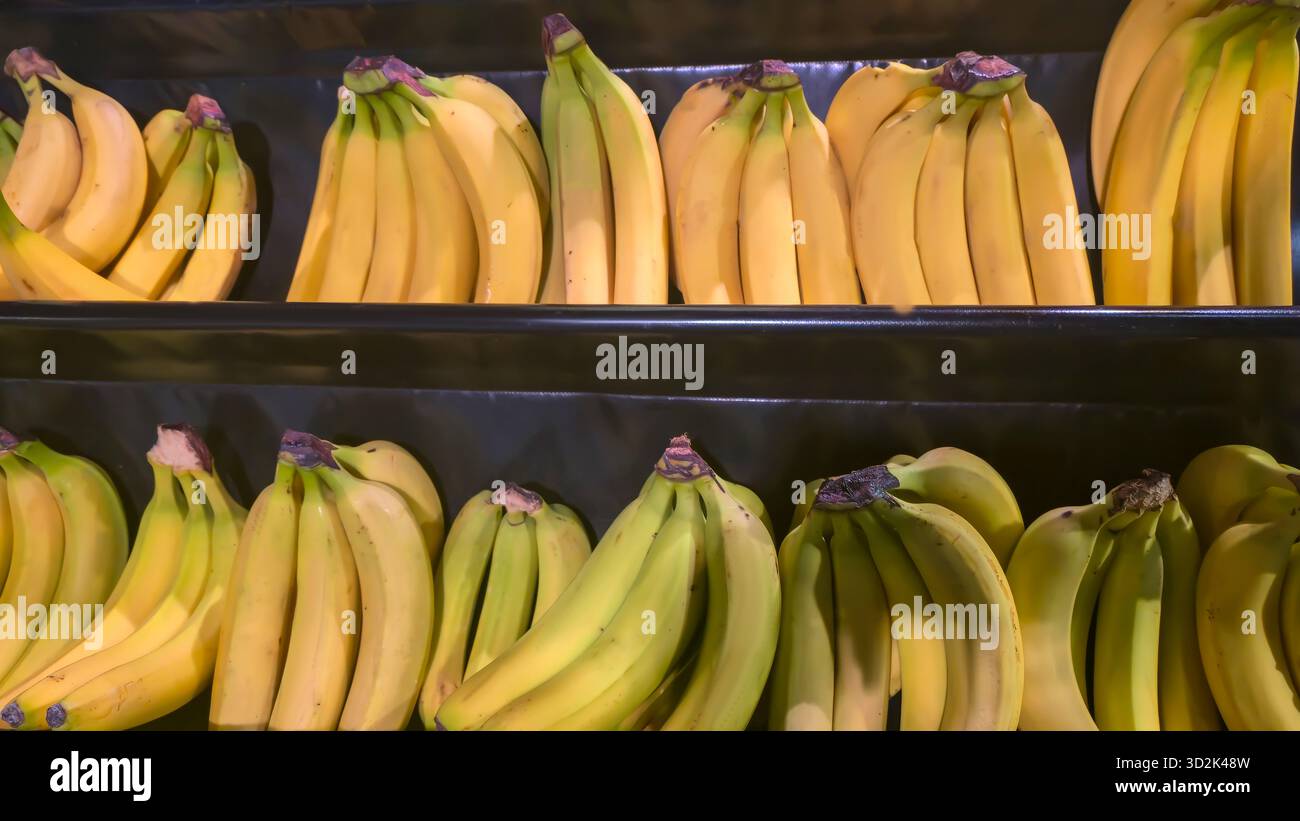 Bananenbündel in großen Kisten in Supermarktregalen, fertig zum Verkauf. Stockfoto