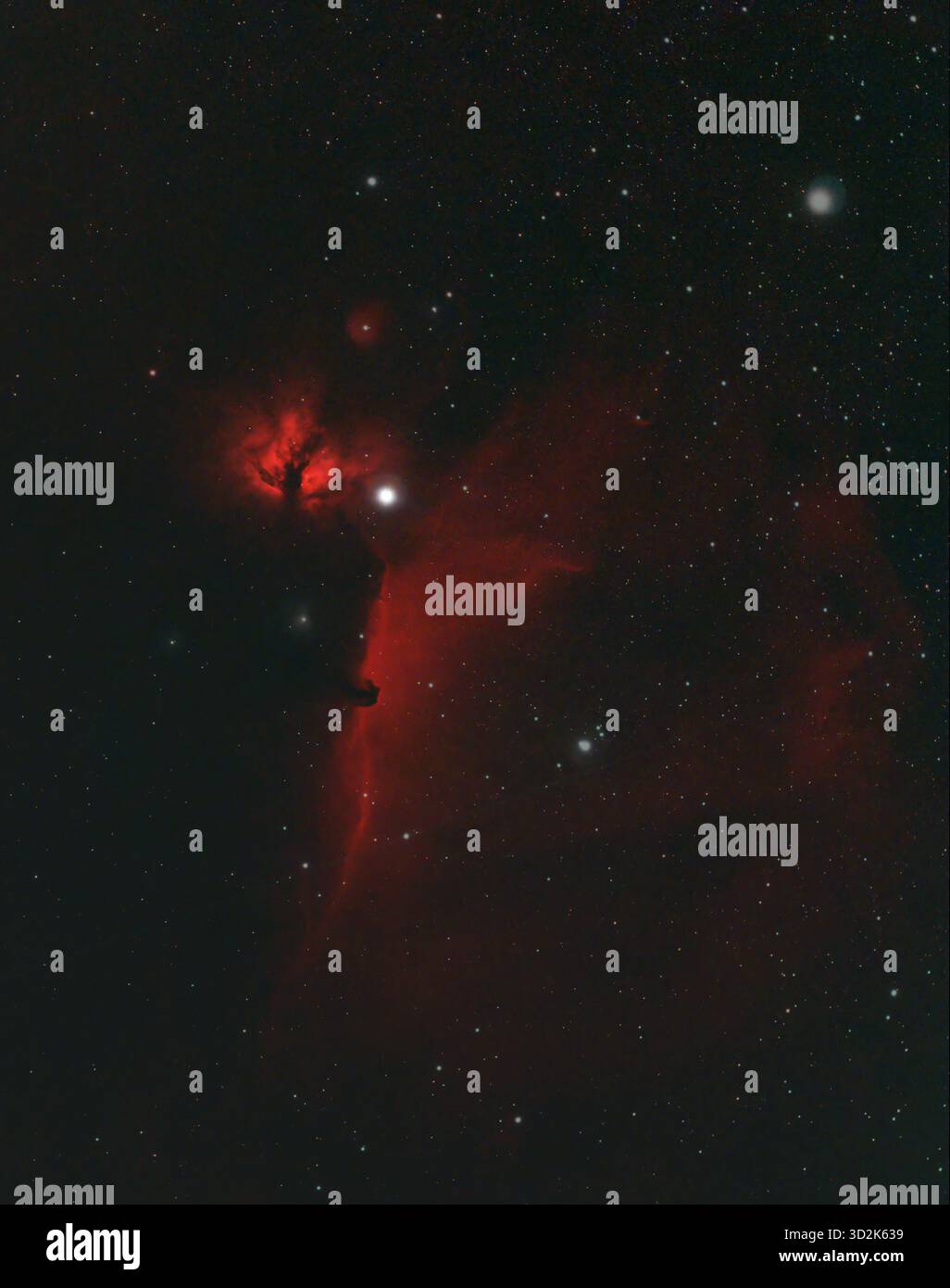 London, Großbritannien. November 2025. Das Teleskopfoto über London zeigt den dunklen Nebel Barnard 33 (der Horsehead-Nebel) im Gürtel von Orion nahe dem hellen Stern Alnitak, dem linken Stern des Orion-Gürtels. Der Flammennebel NGC 2024 befindet sich links von Alnitak und der helle Stern oben rechts ist Alnilam, der zentrale Stern des Gürtels. Kredit: Malcolm Park/Alamy Stockfoto