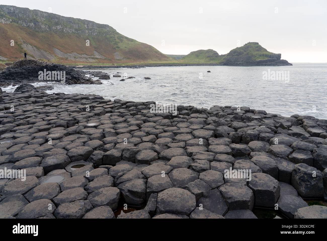 Blick auf den Giant's Causeway, ein UNESCO-Weltkulturerbe in der Nähe von Bushmills, Nordirland, Großbritannien. Stockfoto