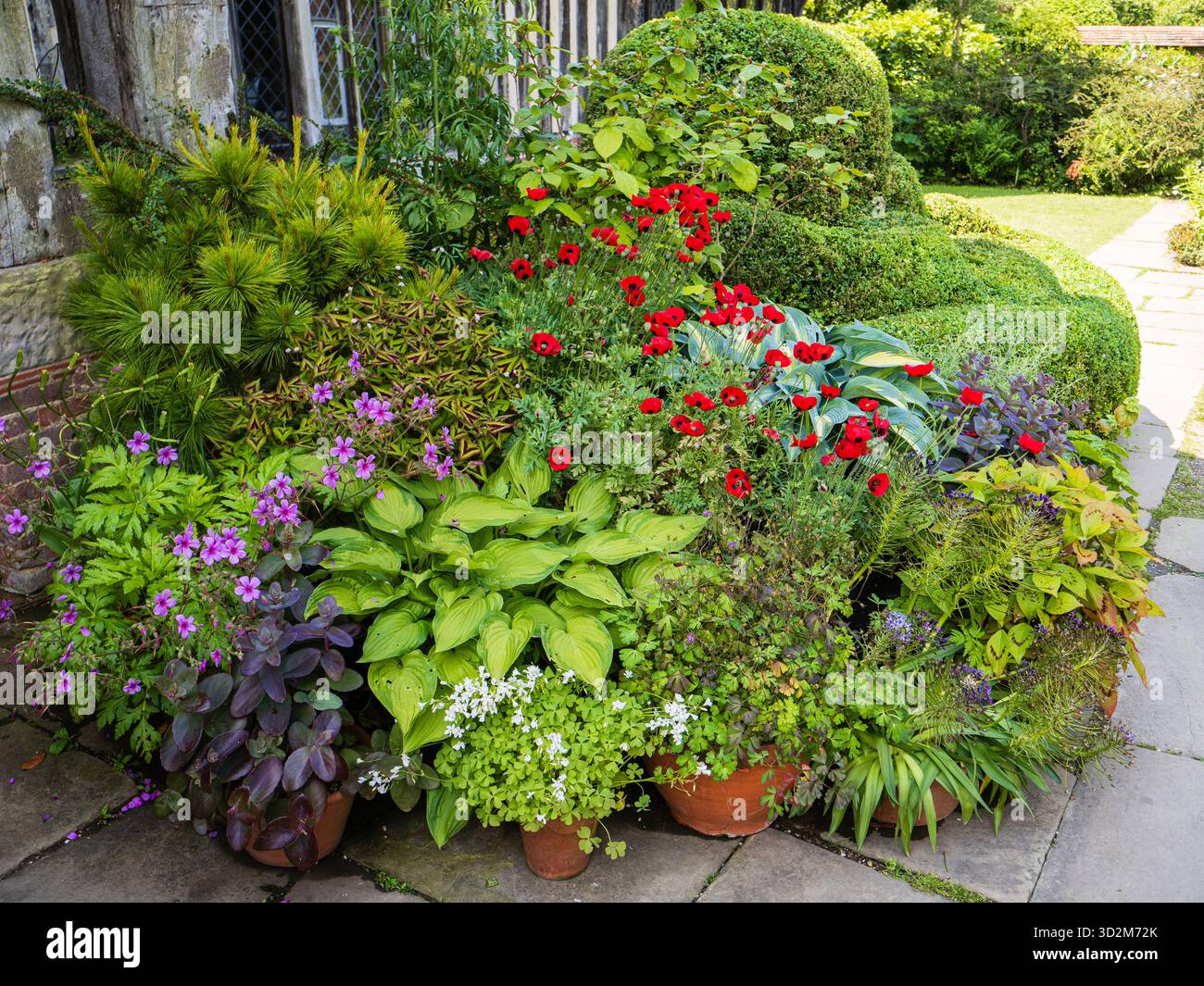 Sammlung von Behältern mit einer Mischung aus Stauden und Einjährigen am Eingang von Great Dixter, Kent, Großbritannien Stockfoto