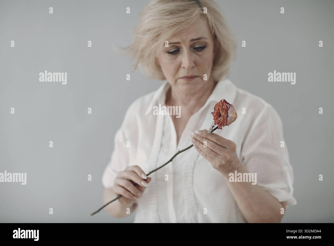 Traurige ältere Frau im weißen Hemd hält eine trockene, alte, tote Rosenblume. Alter und Alter konzeptuell Stockfoto