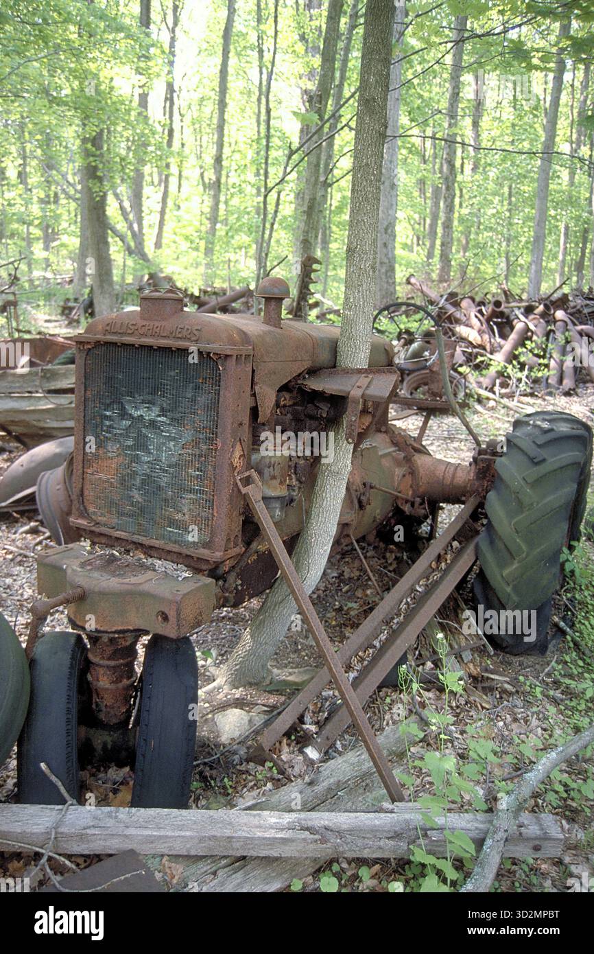 Verrosteter amerikanischer Allis-Chalmers Traktor um 1900, von einem Baum überquert, in einem Waldgebiet in Marksboro, New Jersey, USA abgeladen Stockfoto
