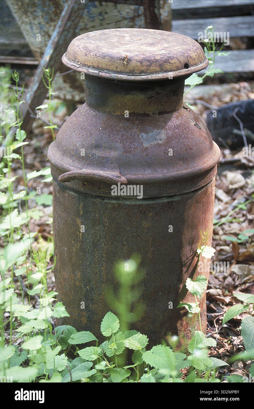 Verrostete amerikanische Milchkanne um 1900, abgesetzt in einem Waldgebiet, Marksboro, New Jersey, USA Stockfoto