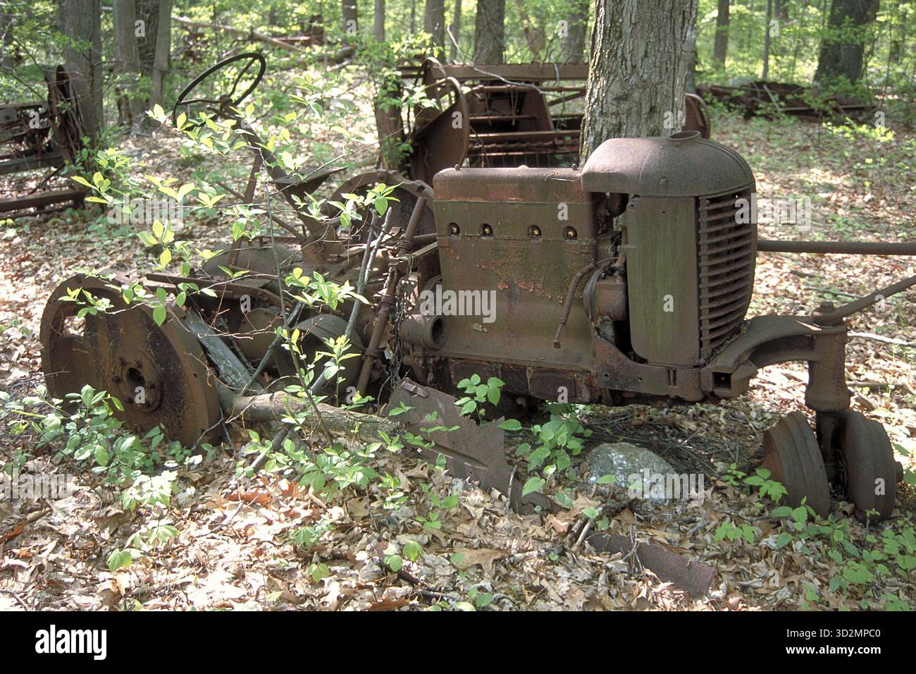 Rostiger amerikanischer Traktor um 1900, von einem Baum überquert, in einem Waldgebiet in Marksboro, New Jersey, USA abgeladen Stockfoto
