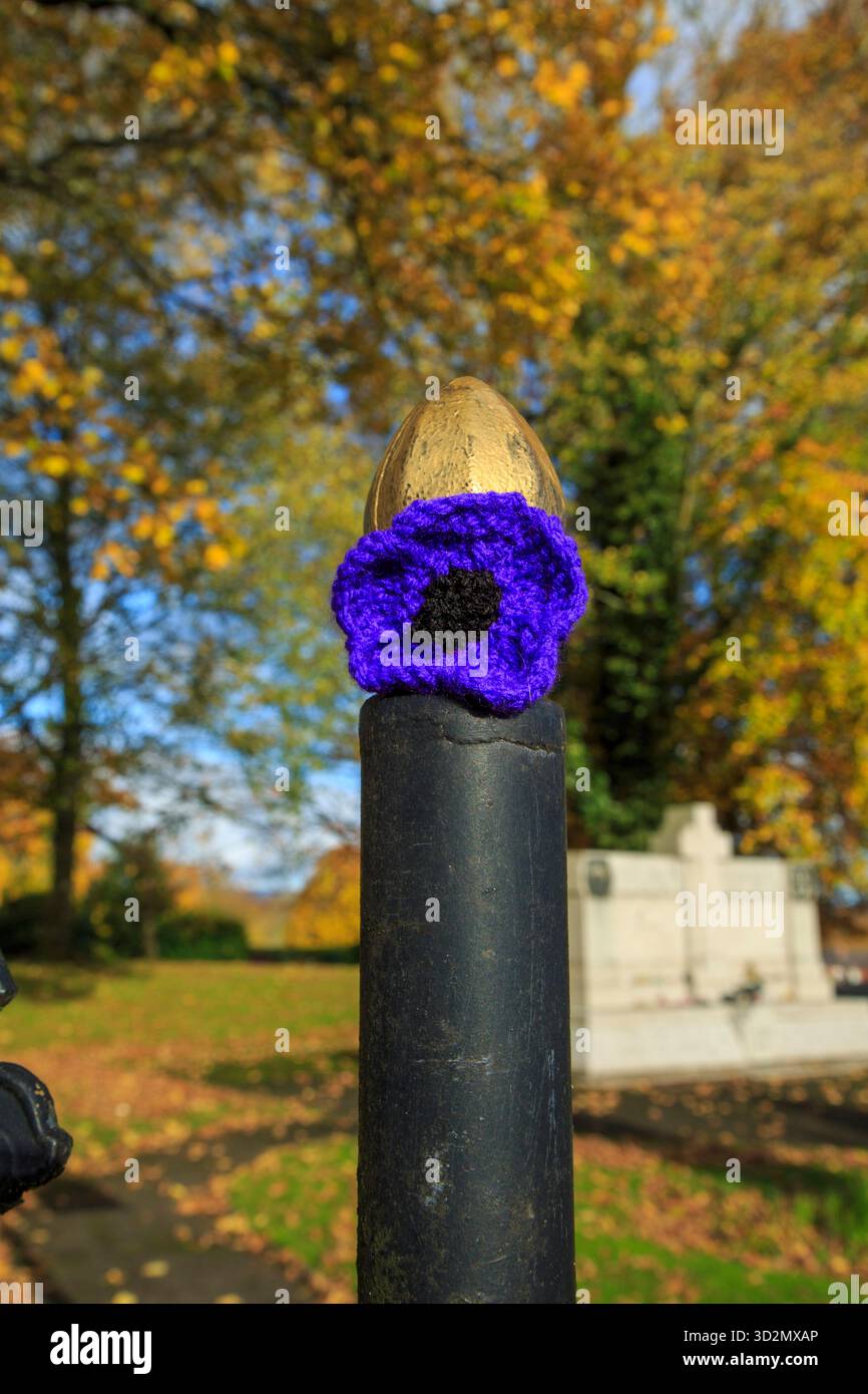 Mohnblumen schmücken den Gedenkgarten in Tottington, Bury Stockfoto