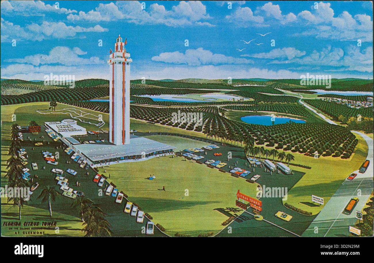 Postkarte mit dem Florida Citrus Tower, umgeben von Orangenhainen und Fahrzeugen, am U.S. Highway 27 in Clermont, Florida, USA, 1960. Stockfoto