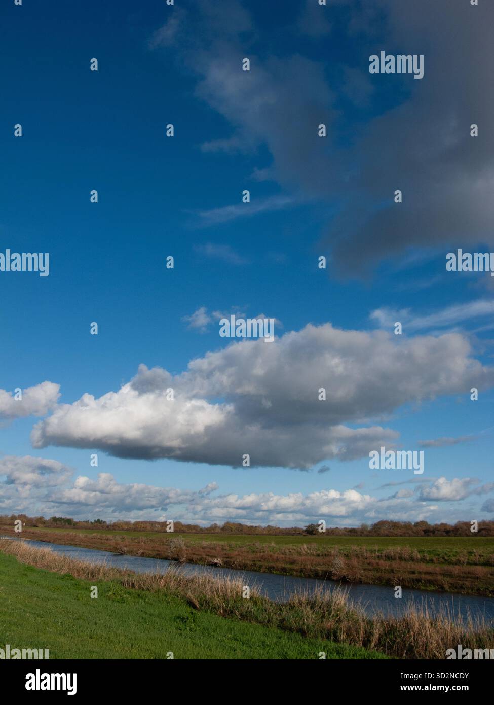 New Bedford River, Sutton Gault, Cambridgeshire Stockfoto
