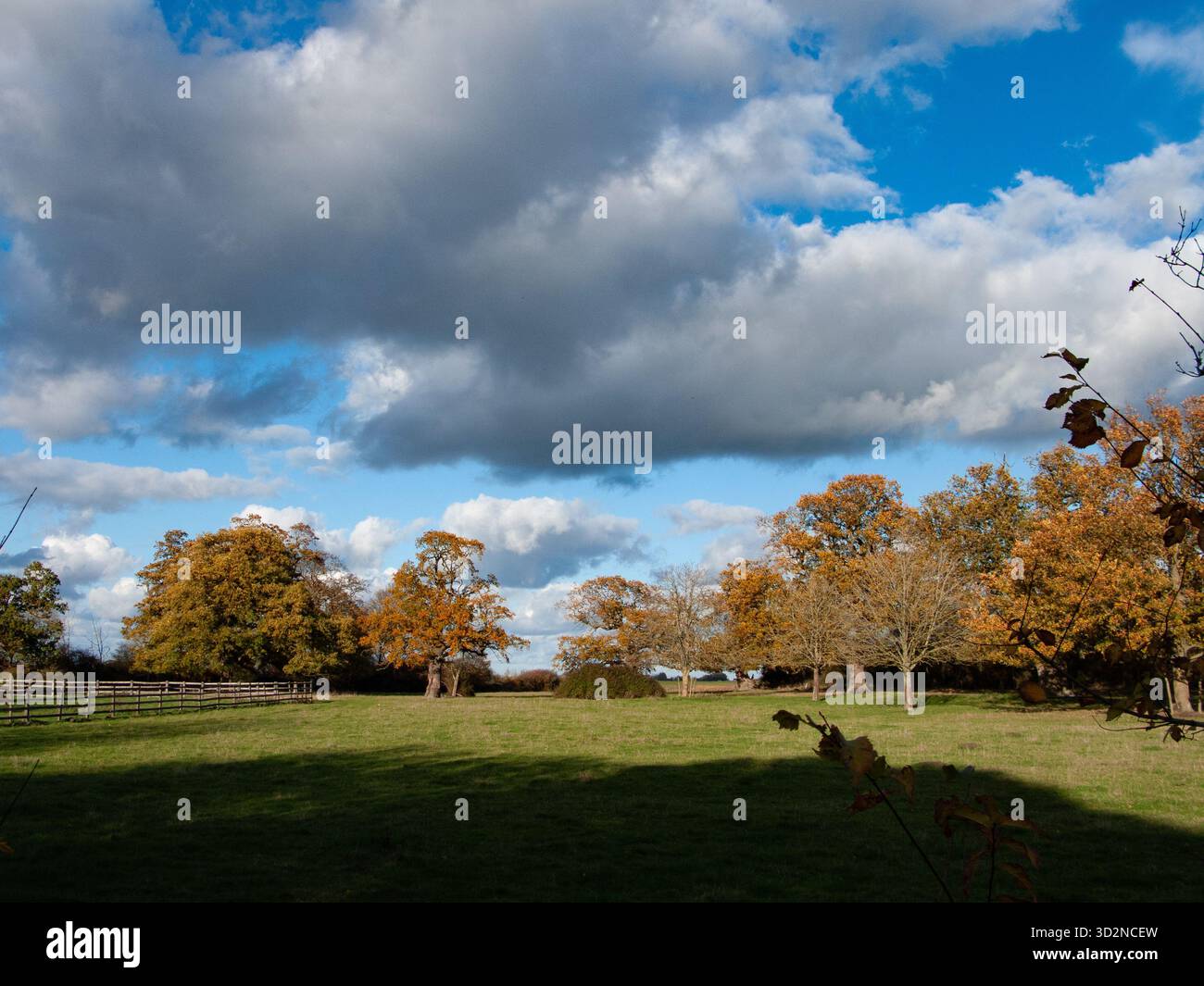 Sutton Gault, Cambridgeshire Stockfoto