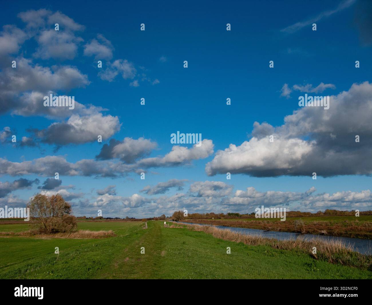 New Bedford River, Sutton Gault, Cambridgeshire Stockfoto
