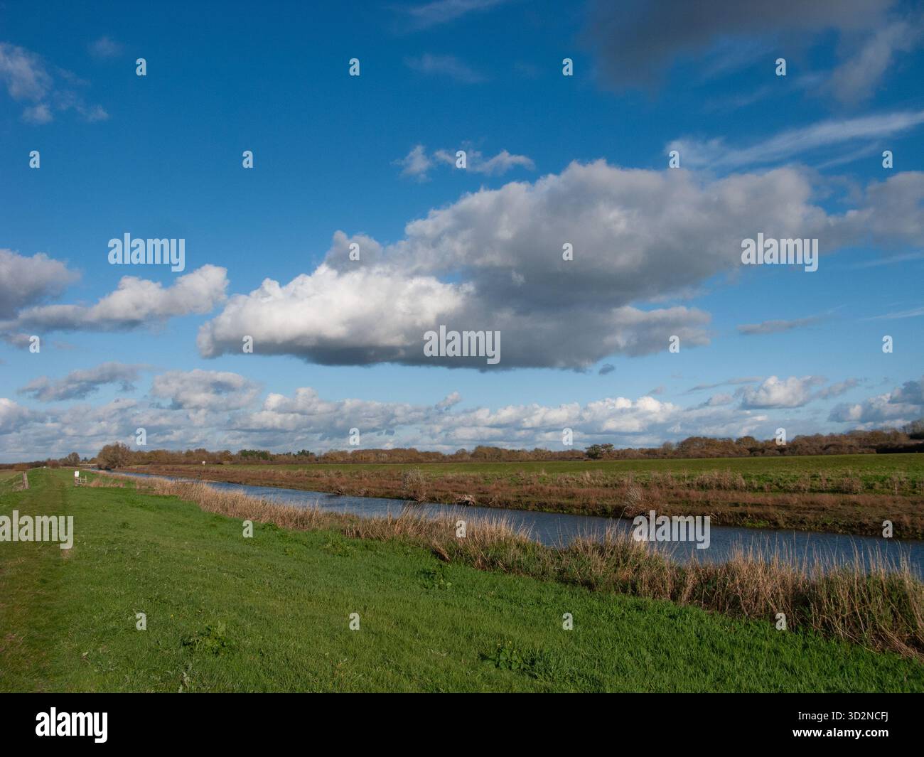New Bedford River, Sutton Gault, Cambridgeshire Stockfoto