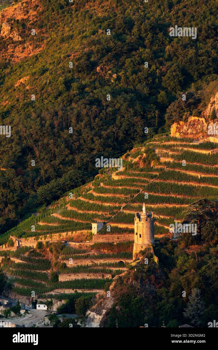 Terrassierter Weinberg, der einen steilen Hügel mit einem alten Steinturm während des Sonnenuntergangs bedeckt Stockfoto