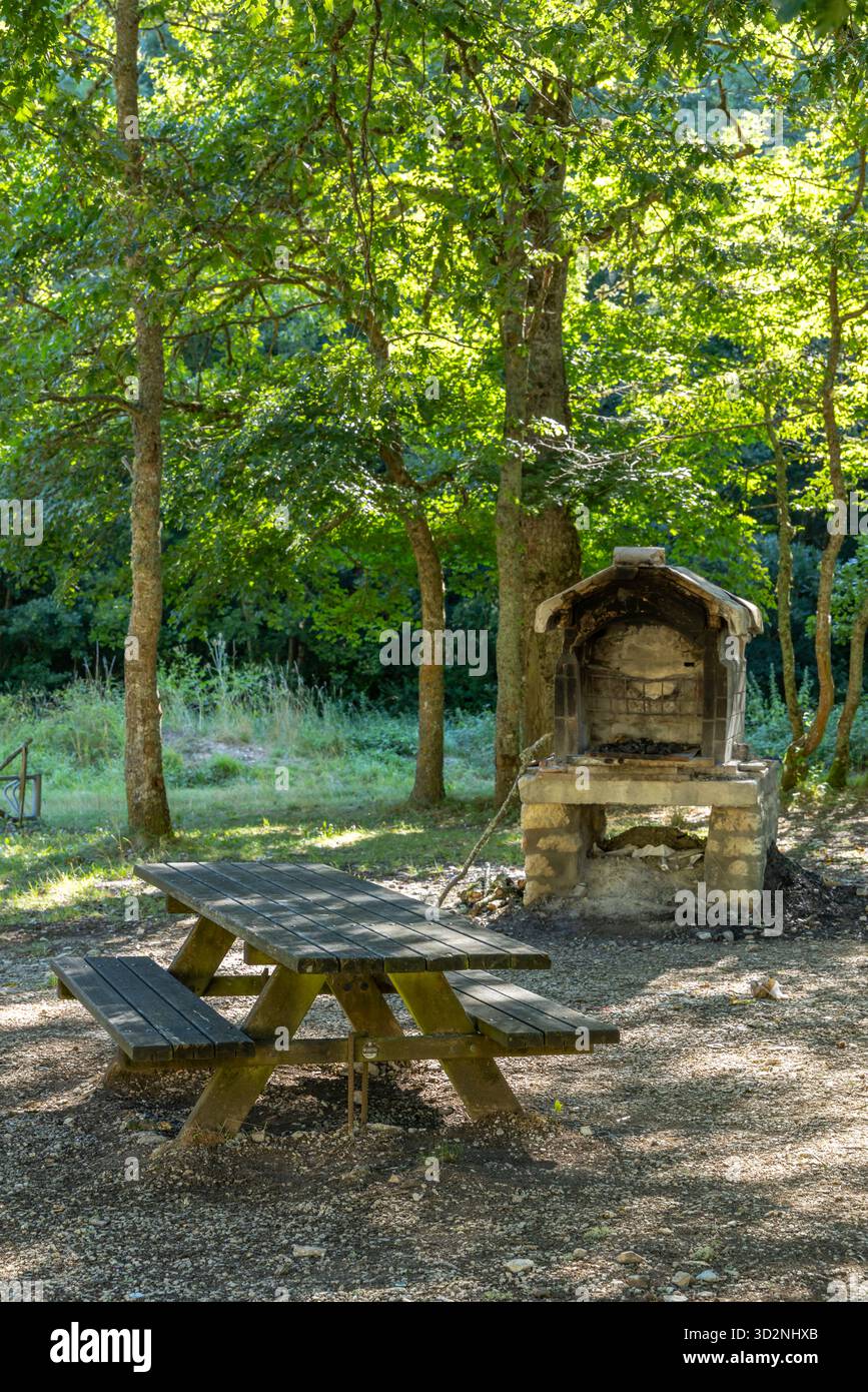 Rustikaler Picknicktisch und Grill, ein entspannender Ort in einer ruhigen Waldlandschaft Stockfoto
