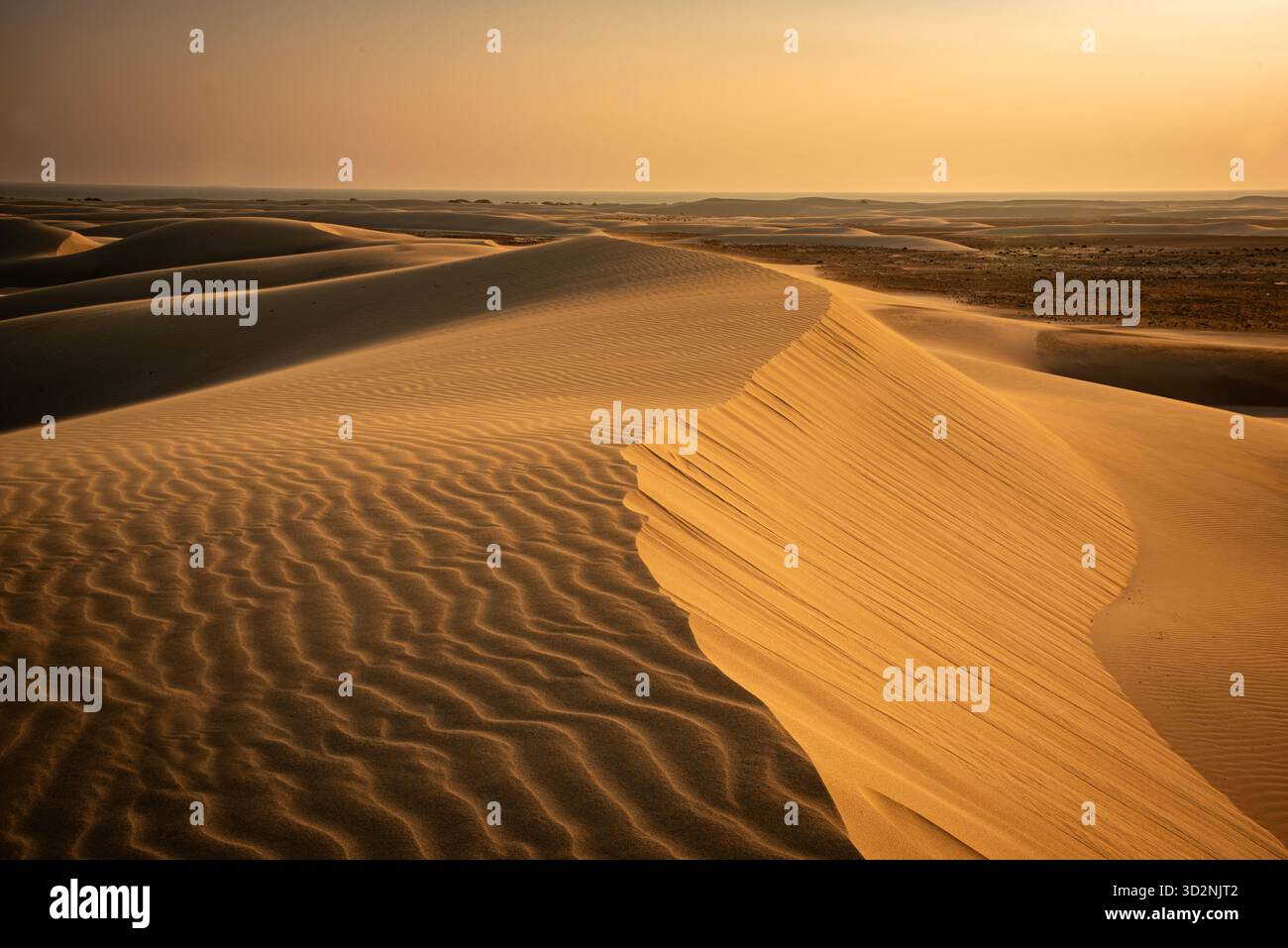Atemberaubende Schönheit der Zahek Sanddünen bei Sonnenuntergang in Socotra, Jemen, mit schwungvollen Linien aus goldenem Sand und Ruhe. Stockfoto