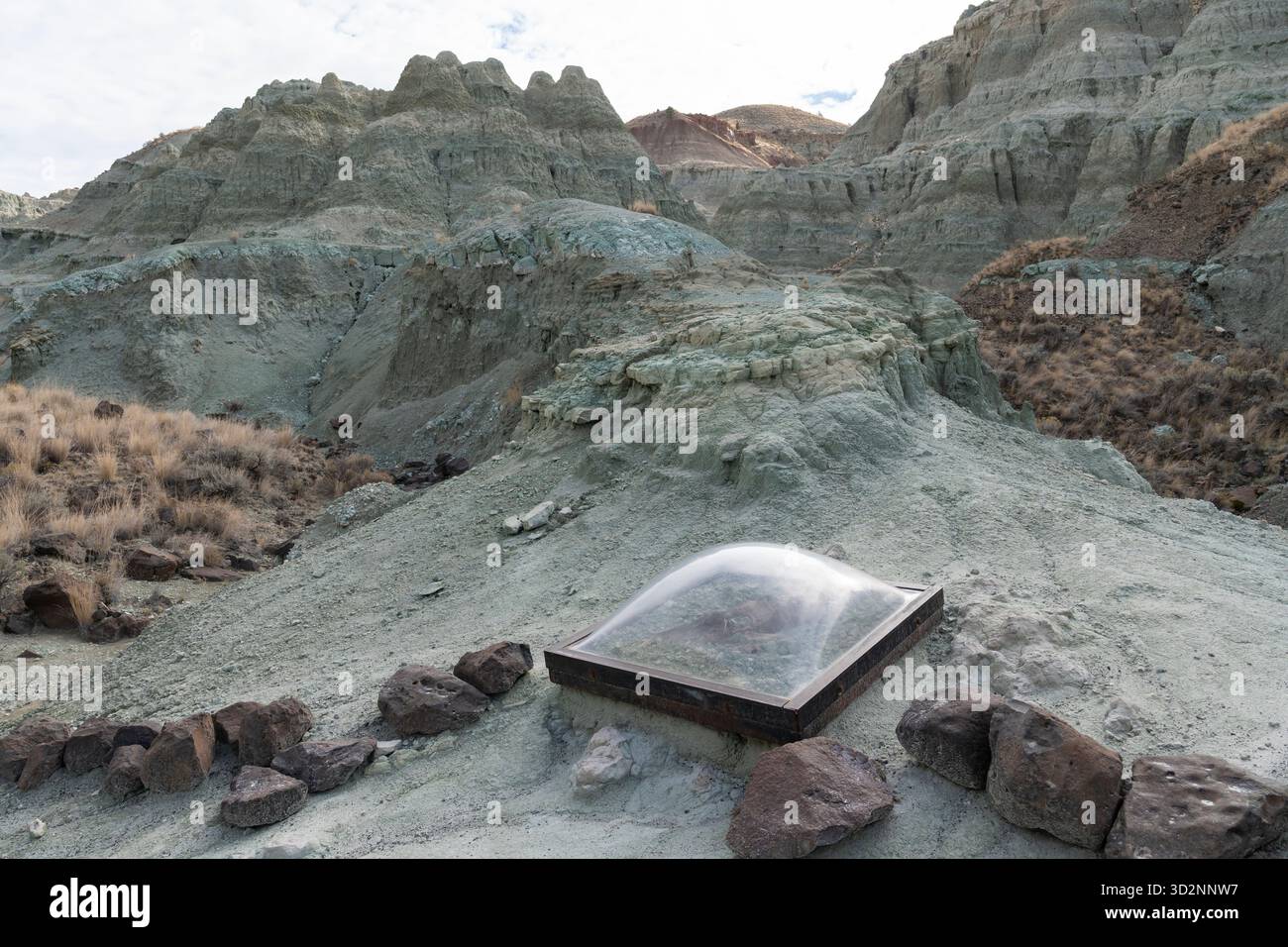 Eine Nachbildung fossiler Exemplare auf dem Island in Time Trail am John Day Fossil Beds National Monument, Oregon, am 28. Oktober 2025. National Stockfoto